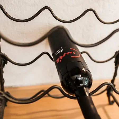 Laurus * شيبينيك