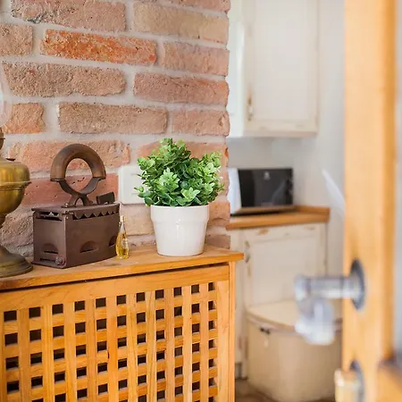 Laurus شيبينيك