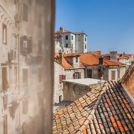 Laurus شيبينيك