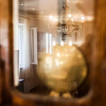 Laurus شيبينيك