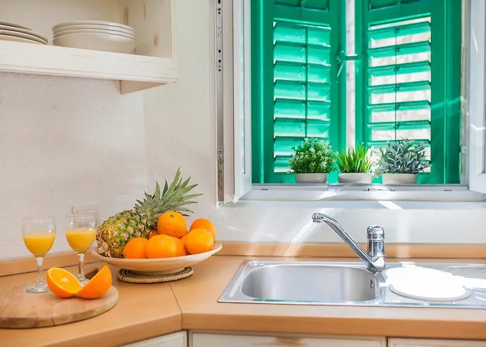 Laurus * שיבניק